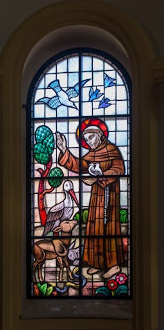 Bones of St Francis of Assisi move on show for the primary time – right here’s why it took 800 years 1 A stained glass window in a church depicting St Francis of Assisi with birds and animals.