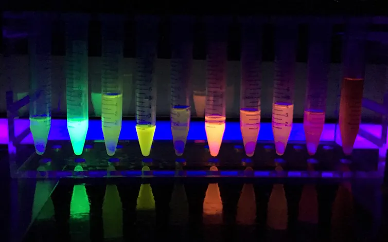 Row of test tubes with neon liquids of various colors glowing in the black light