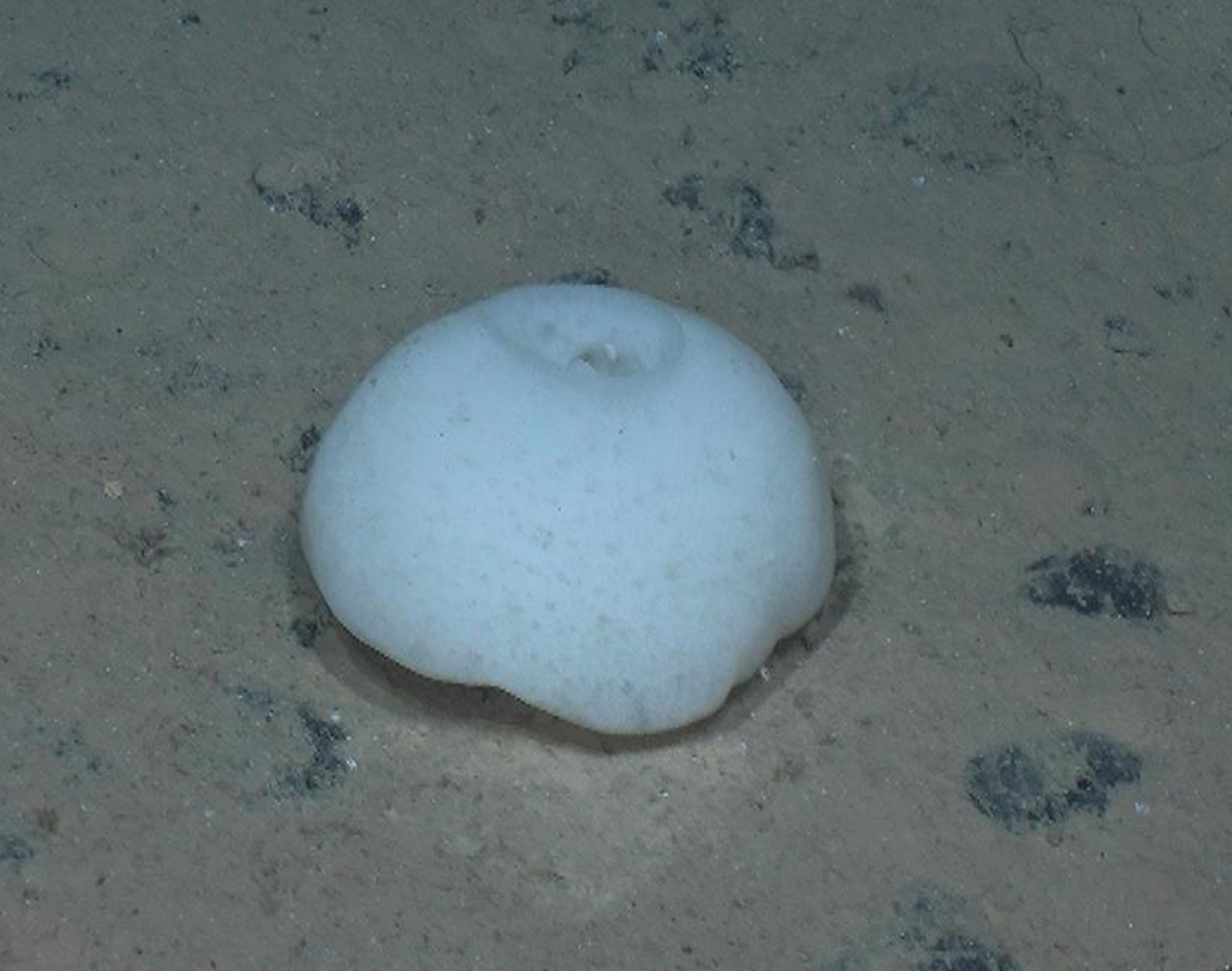 file 20260220 56 7zm7yr.png?ixlib=rb 4.1