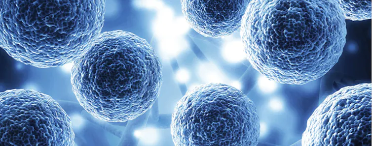 Disfunción eréctil: cómo la ciencia va más allá del Viagra 2 file 20260220 56 dxeykw.png?ixlib=rb 4.1