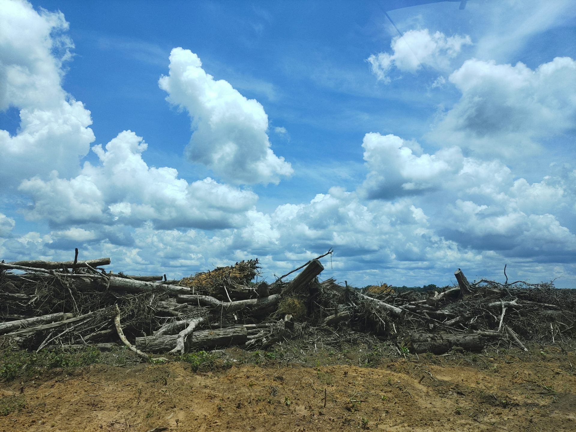 Masalah berlapis &lsquo;food estate&rsquo;: Mulai dari panen loyo hingga diskriminasi perempuan