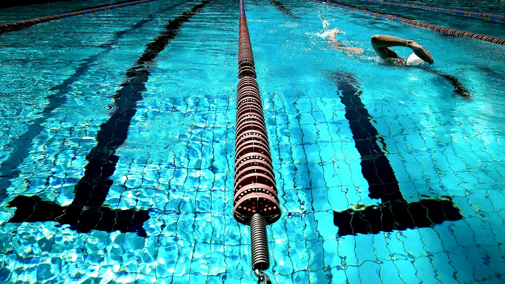 I’m a drowning prevention researcher – my kid’s school swimming carnival shocked me