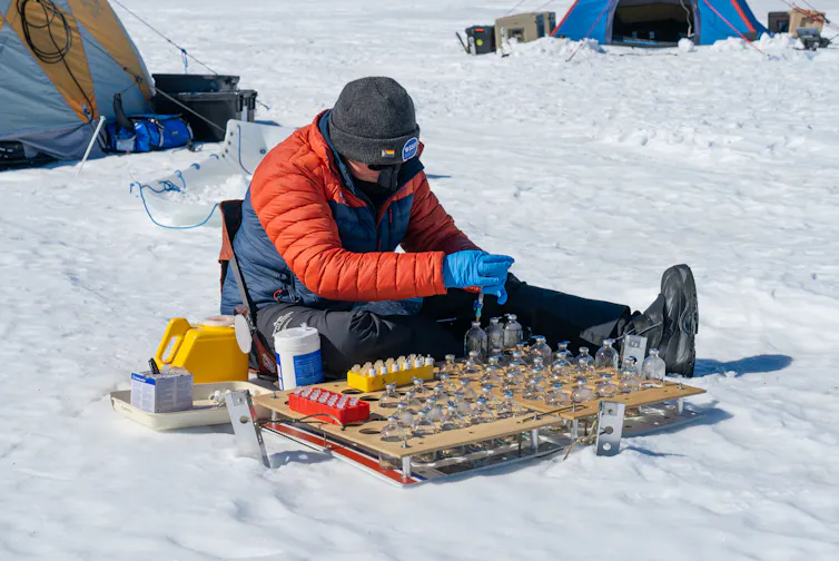 A researcher wearing a beanie and puffy jacket, sitting on snow in front of a tray of vials.