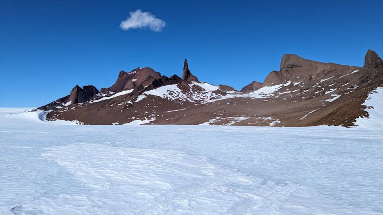 Microbes in Antarctica