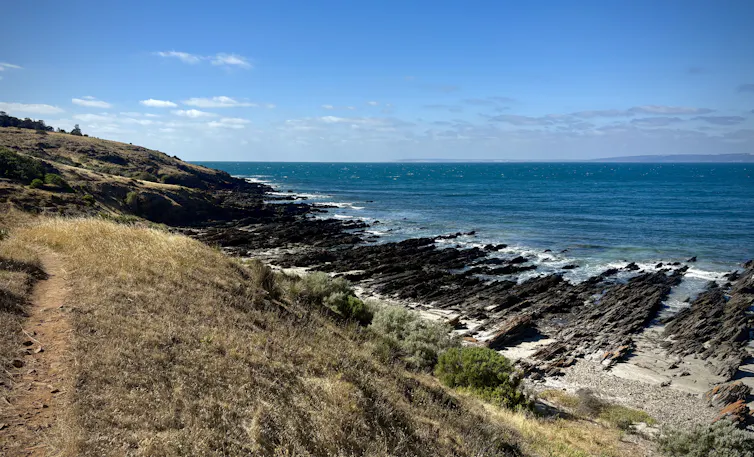 ocean view from walking track
