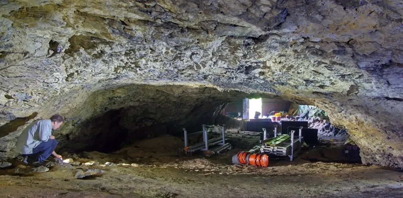 DNA study uncovers continental origins of Britain’s bronze age population