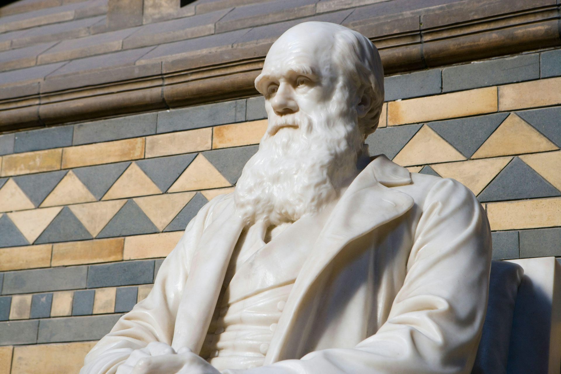 Updating Darwin: biologists are returning to an older theory to explain anomalies in evolution