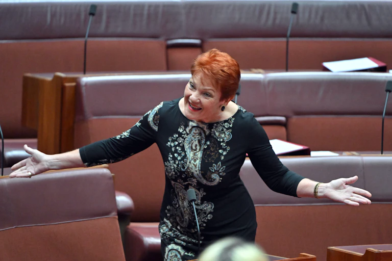 Pauline Hanson stands in the Senate chamber and gesticulates as she speaks