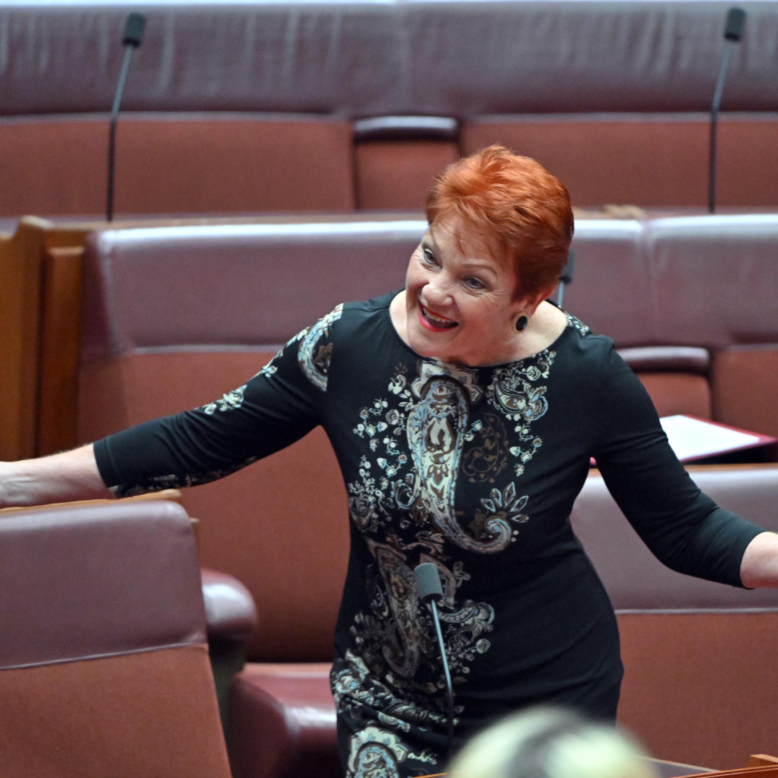 Pauline Hanson stands in the Senate chamber and gesticulates as she speaks