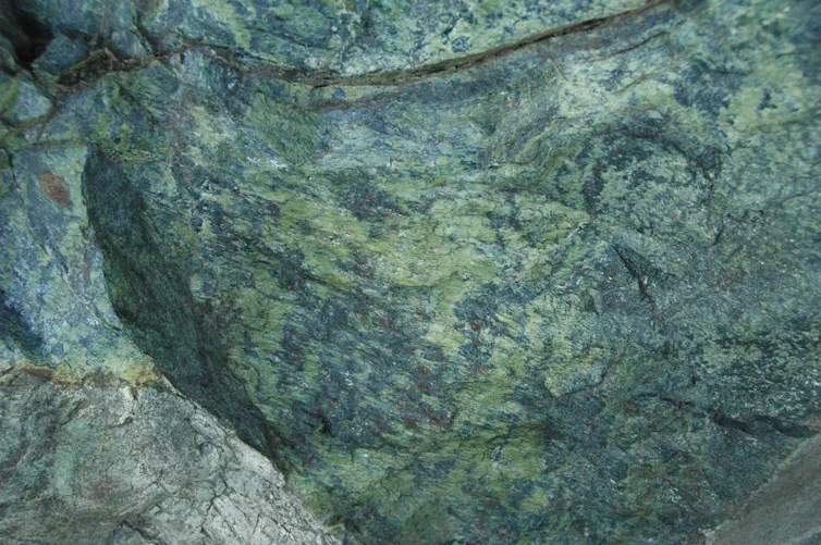 A close-up image of a rock that is mottled in shades of green and gray.