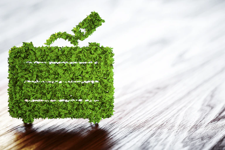 Maleta hecha con plantas
