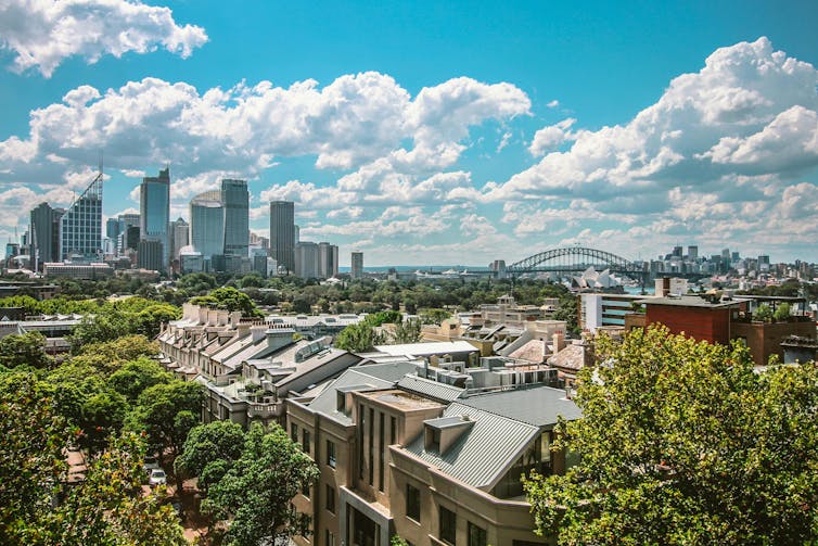 A Sydney panaroma showing tree-lined streets