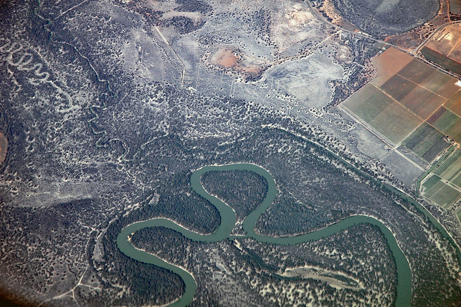 An aerial photo of the winding Murray River.