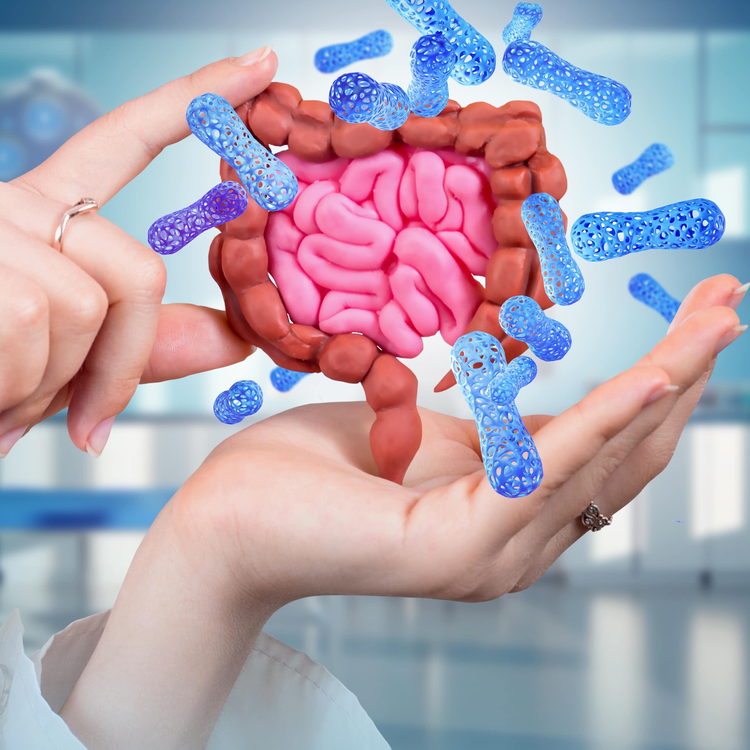 A hand holds a mini model of the gut microbiome.