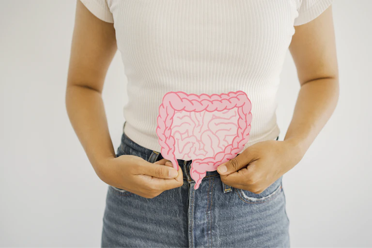 A woman holding a cardboard cutout of the human gut against her abdomen.