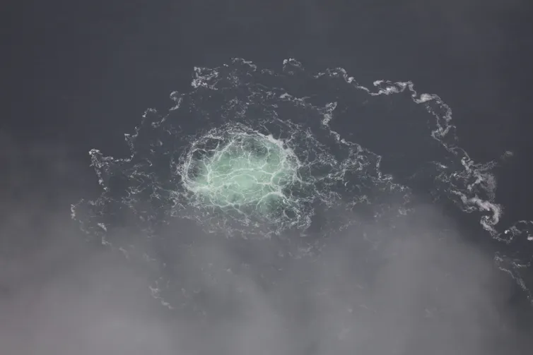 A whirlpool-resembling tidal movement in the ocean.
