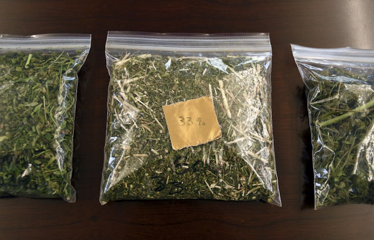 Three bags of cannabis, seized by law enforcement, are on display on a table.