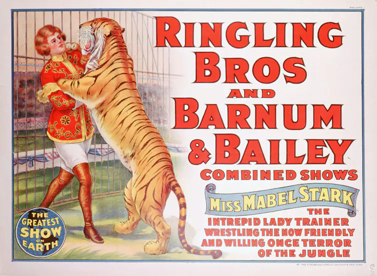 A colorful advertisement for Ringling Bros and Barnum & Bailey features a young woman engaging with a tiger on its hind legs.
