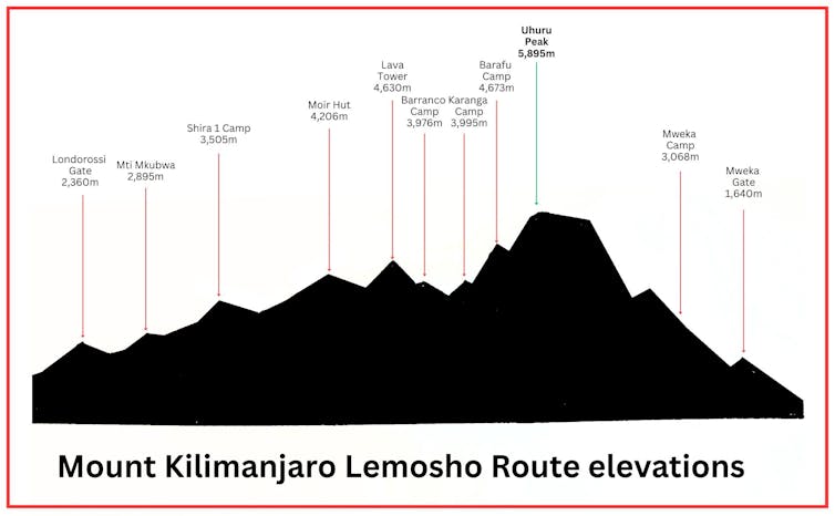 El enemigo oculto del monte Kilimanjaro: afrontar con seguridad los niveles bajos de oxígeno a gran altitud 3 Diagrama de elevación del monte Kilimanjaro