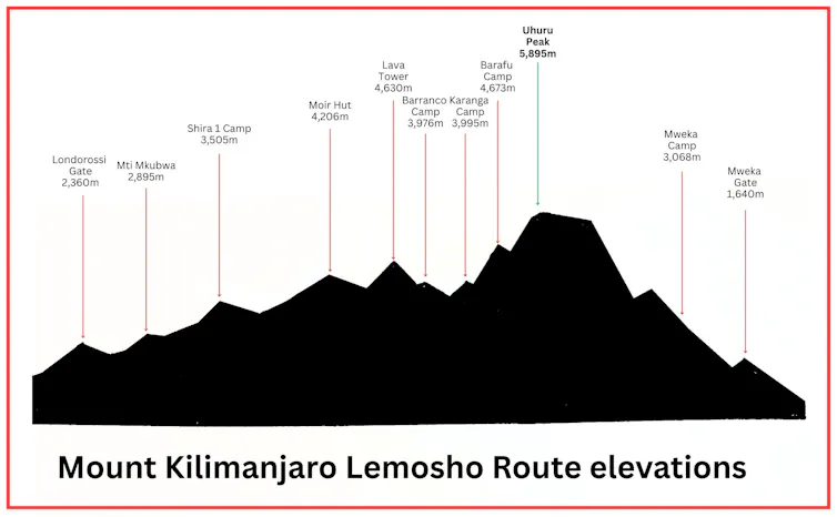 A diagram of elevations on Mount Kilimanjaro