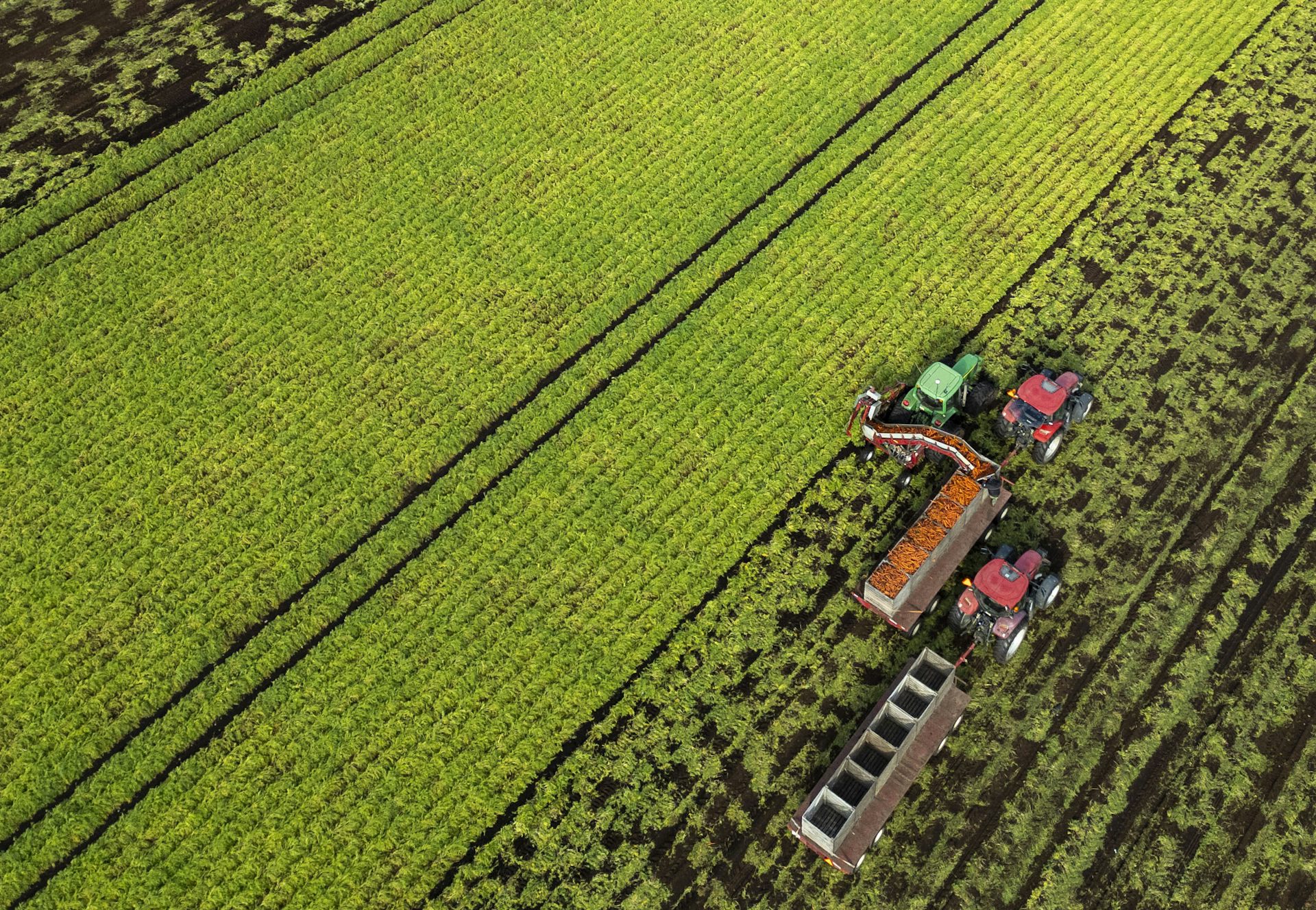 Vista aérea de un tractor moviéndose por un campo agrícola.