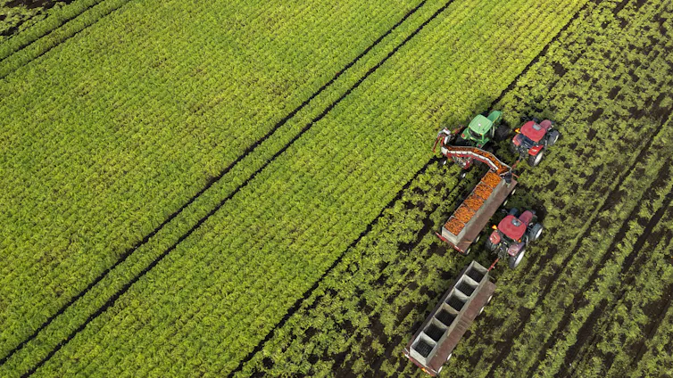 Vista aérea de un tractor moviéndose por un campo agrícola.