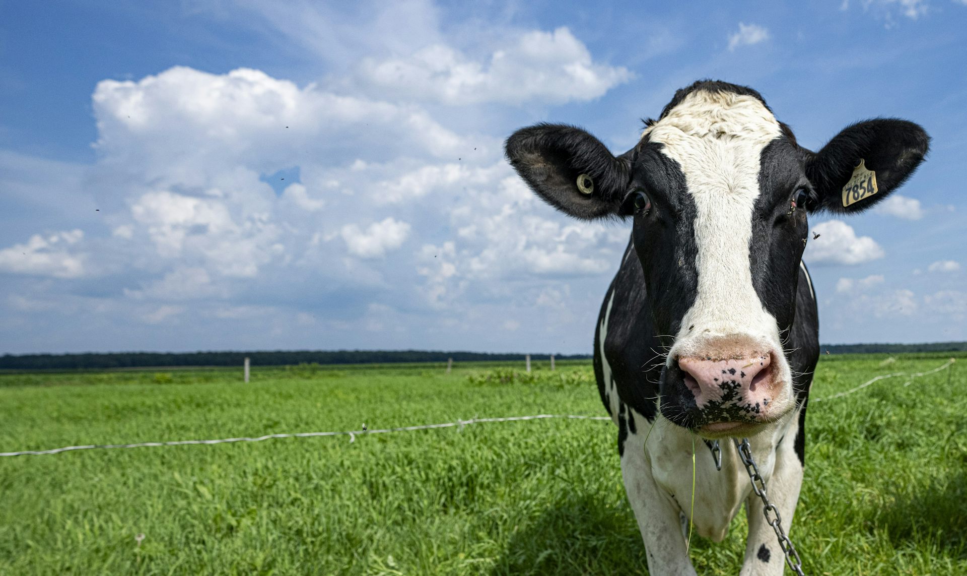 From ‘sustainable’ to ‘regenerative’ agriculture: What’s in a name?