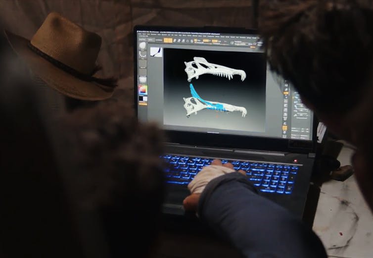 Los paleontólogos descubren una nueva especie de 'Spinosaurus' siguiendo el rastro de un libro de décadas de antigüedad en el desierto del Sahara 3 Una persona escribiendo en una computadora portátil con un cráneo de dinosaurio