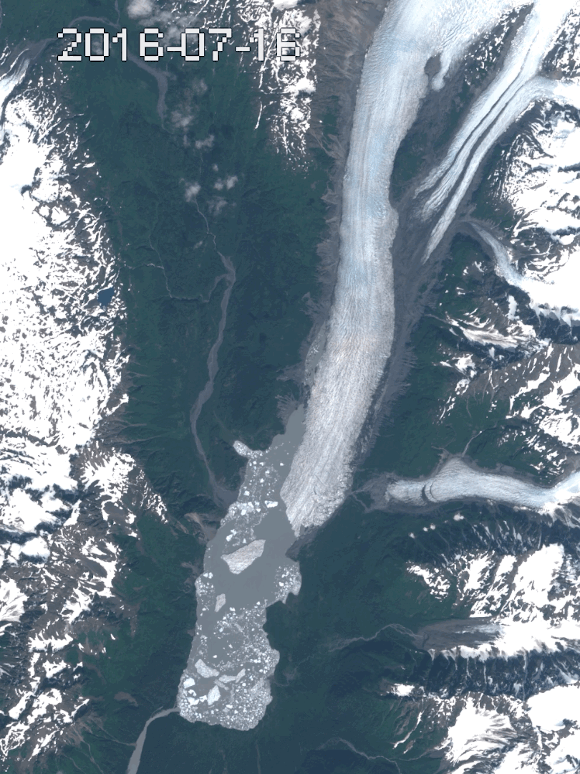 file 20260228 68 sx8l0d.gif?ixlib=rb 4.1