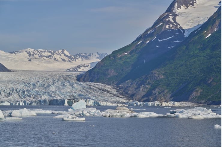 A large glacier terminates in a lake.