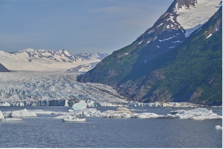 A large glacier terminates in a lake.