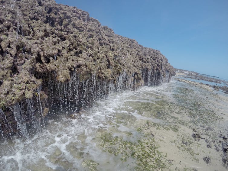 Extreme reef in the Kimberley region of Western Australia