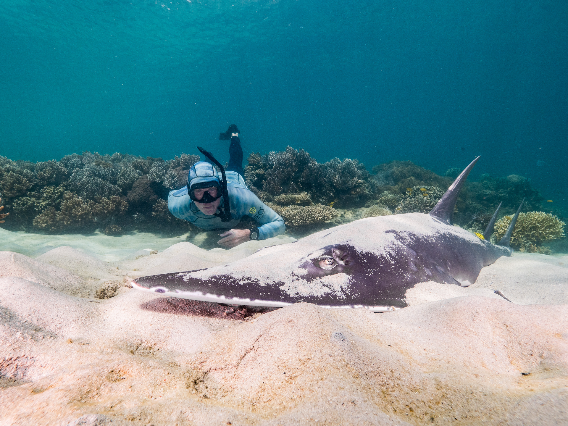 images.theconversation.com image