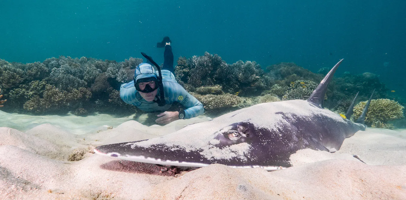 Australia May Have Tenfold More Citizen Scientists Than Previously Estimated – A Boon for Science! Australia May Have Tenfold More Citizen Scientists Than Previously Estimated – A Boon for Science!