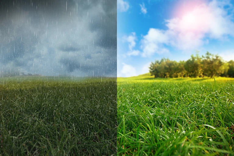 split screen of a green field with rainy and sunny weather