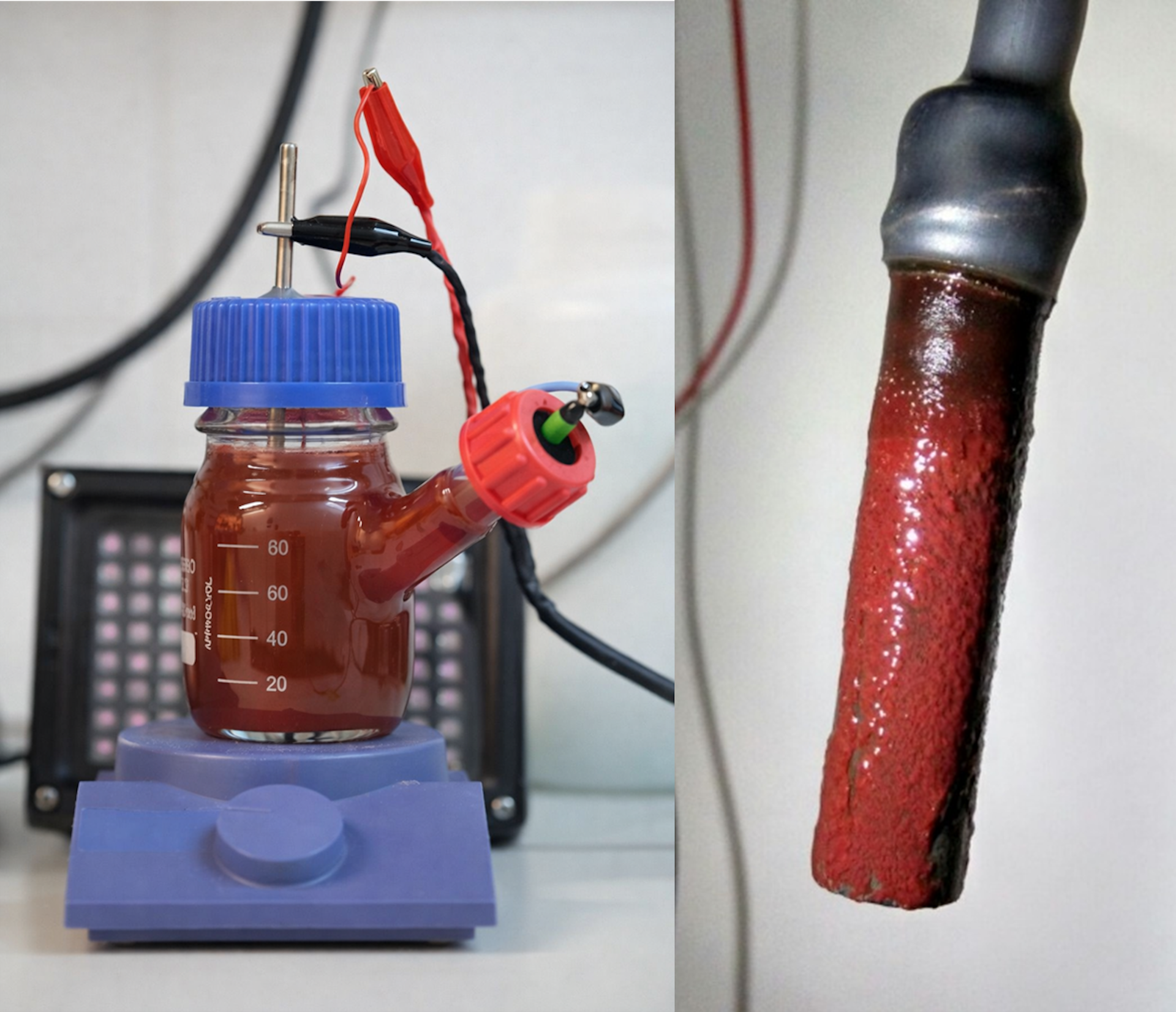 Sistema bioelectroquímico y electrodo colonizado.