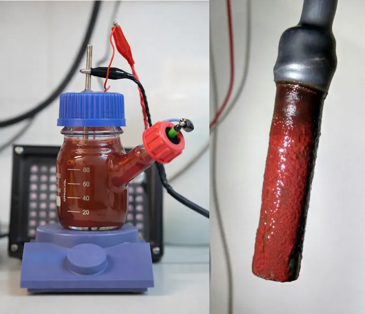 Cómo convertir las bacterias en fábricas de antioxidantes naturales 1 Sistema bioelectroquímico y electrodo colonizado.