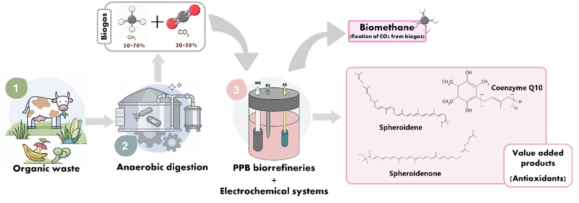 Diagrama de proceso conceptual.