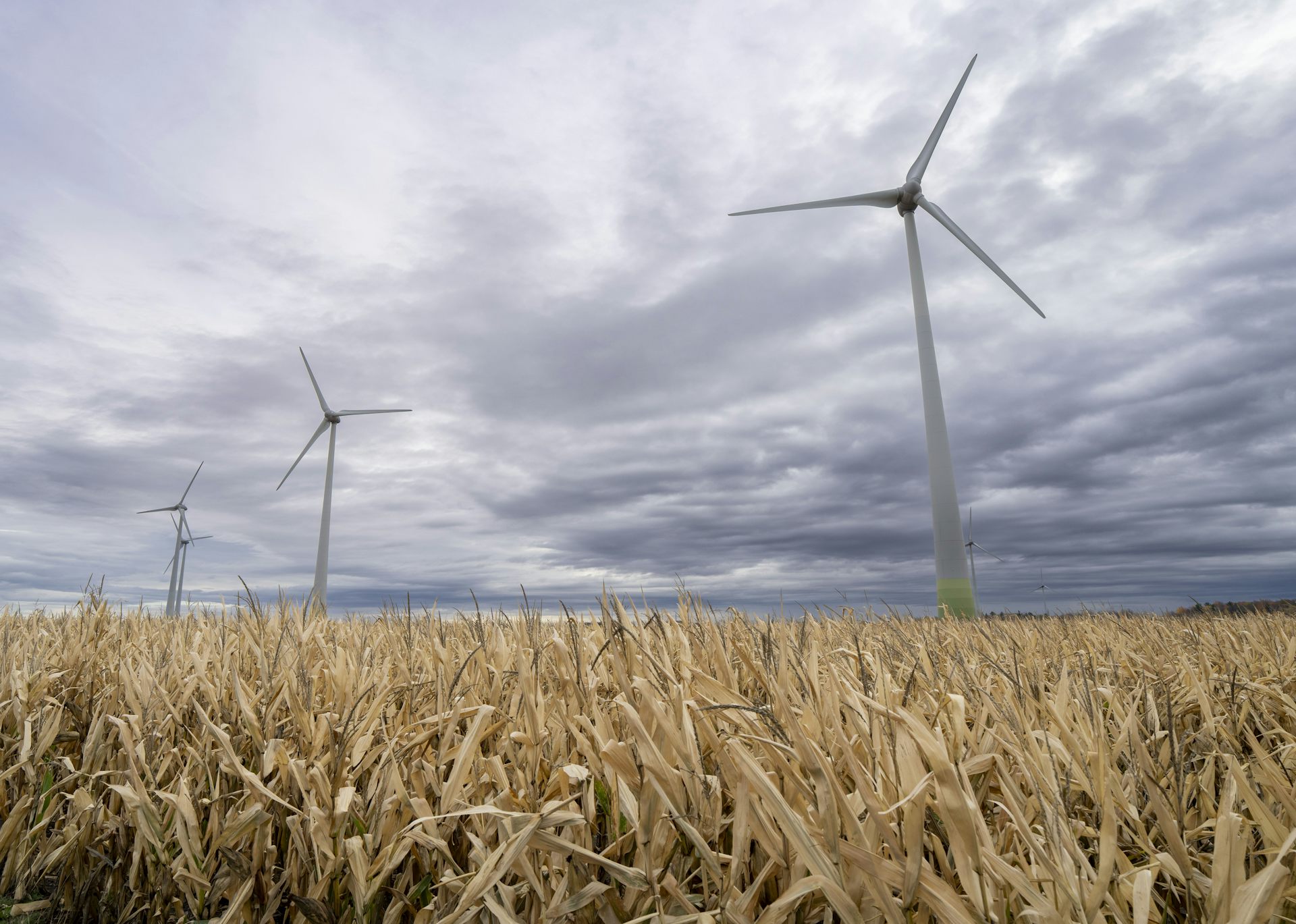Un parc éolien