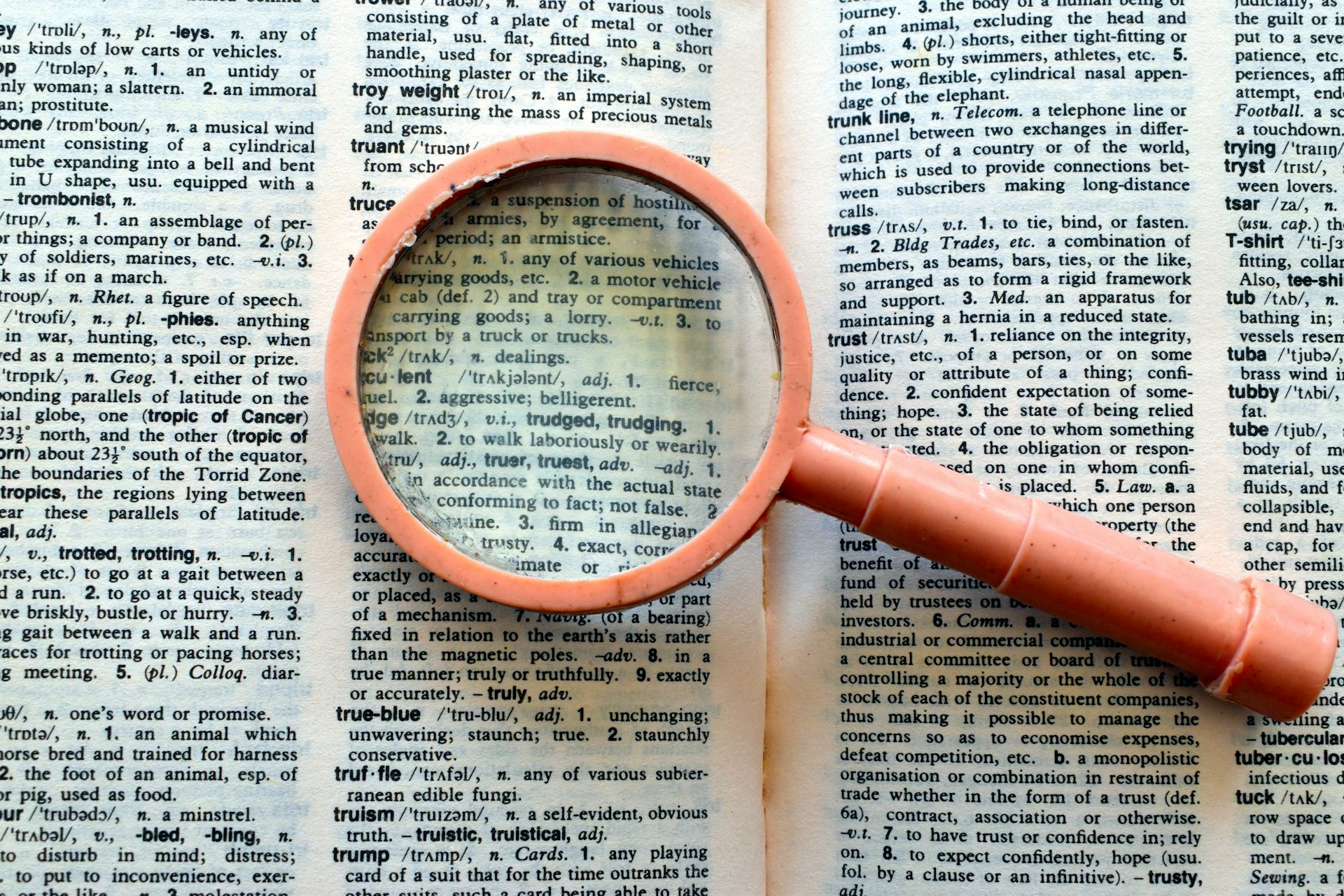 English doesn’t need protecting in New Zealand – but other languages do