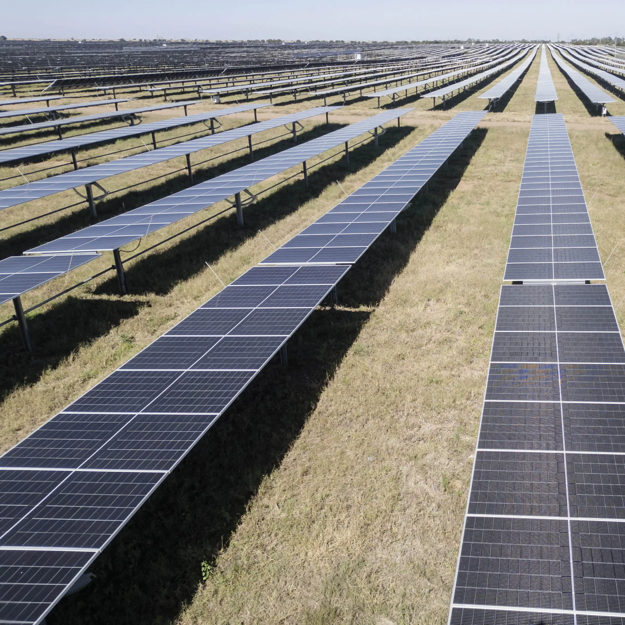 Lines of solar panels stretching across the ground about 20 soccer fields big