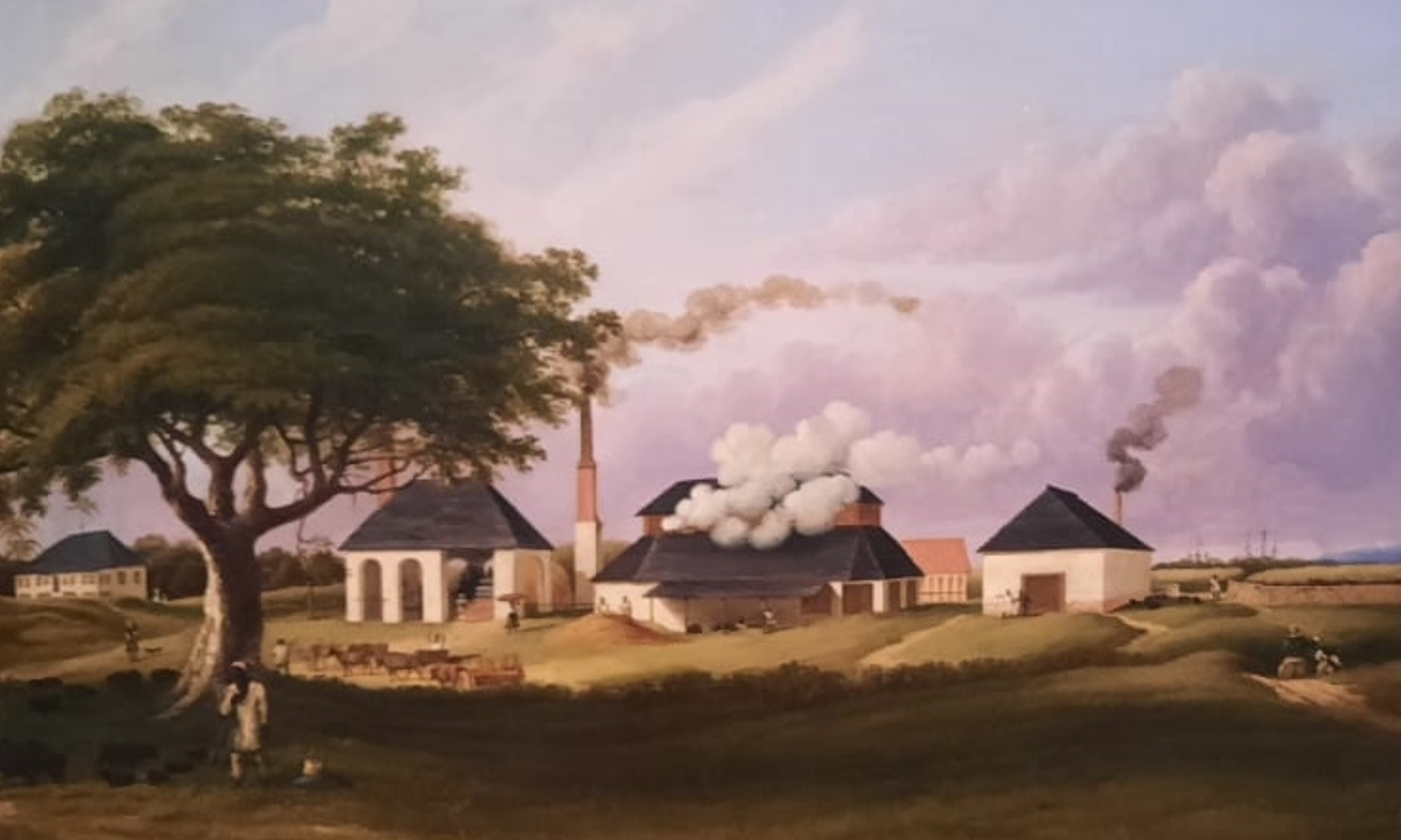 What Irish politician Thomas Gould’s accent going viral in Jamaica reveals about colonial history