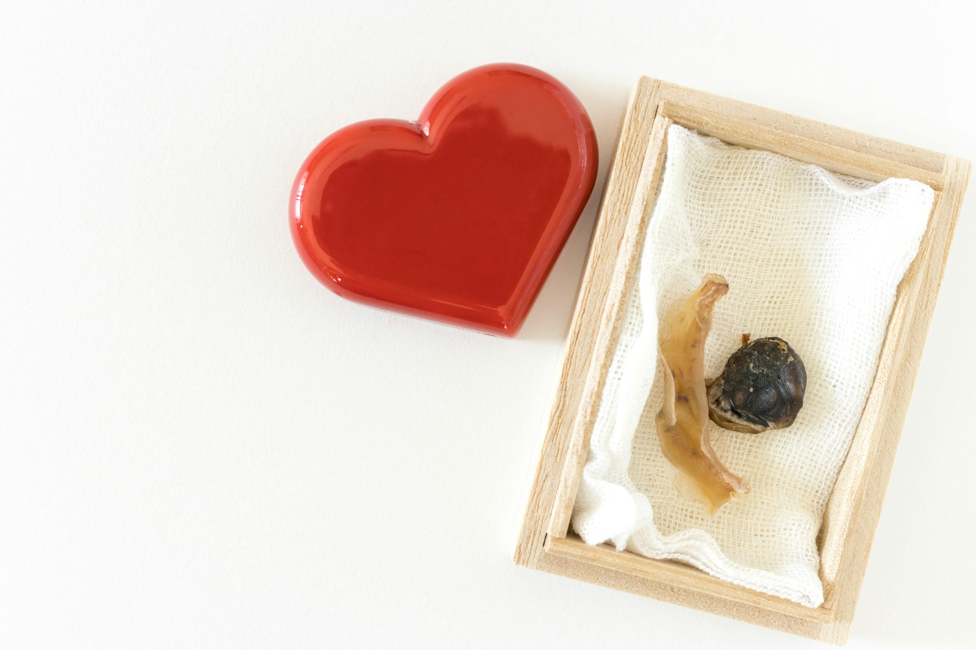 Cord&atilde;o umbilical em uma caixa de madeira ao lado de um pequeno cora&ccedil;&atilde;o de cer&acirc;mica vermelha