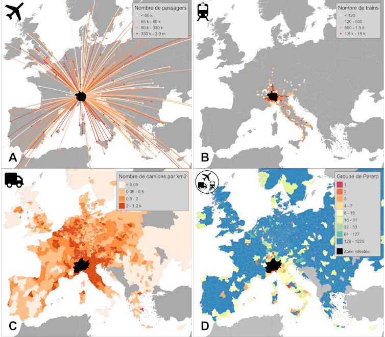 The Jap beetle conquers Europe: an insect below shut scrutiny 2 file 20260305 69 v9xz6y.png?ixlib=rb 4.1