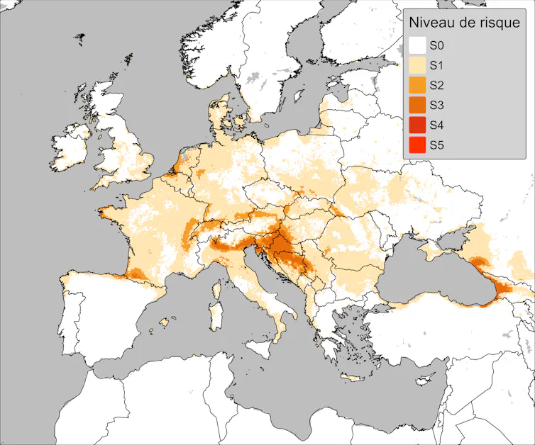 The Jap beetle conquers Europe: an insect below shut scrutiny 3 file 20260305 82 qbf1lf.png?ixlib=rb 4.1