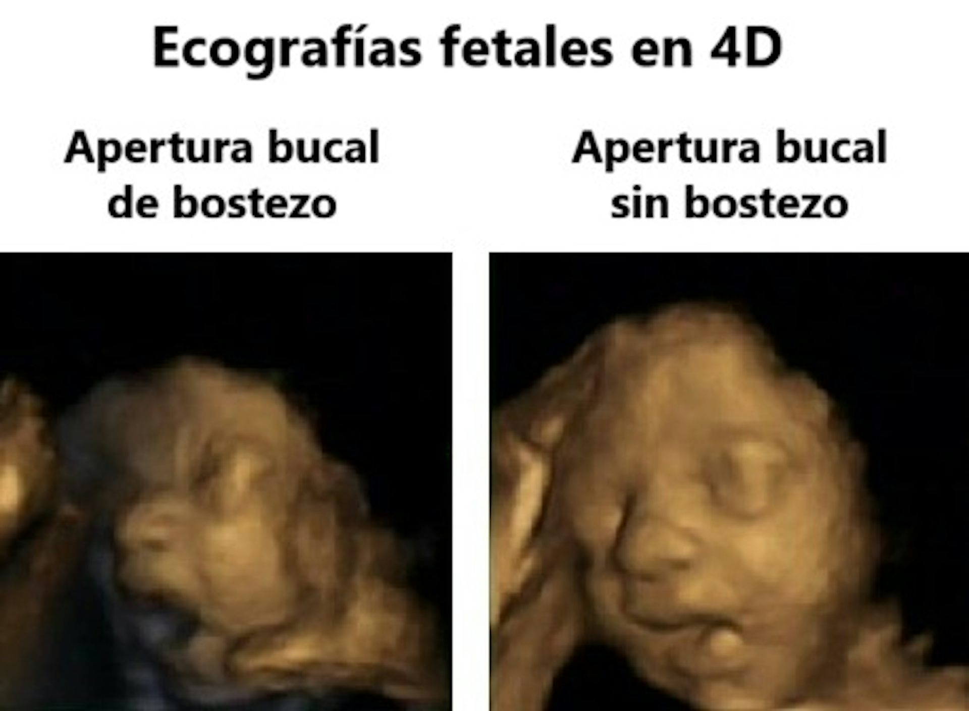 file 20260305 57 gpqvlm.jpg?ixlib=rb 4.1