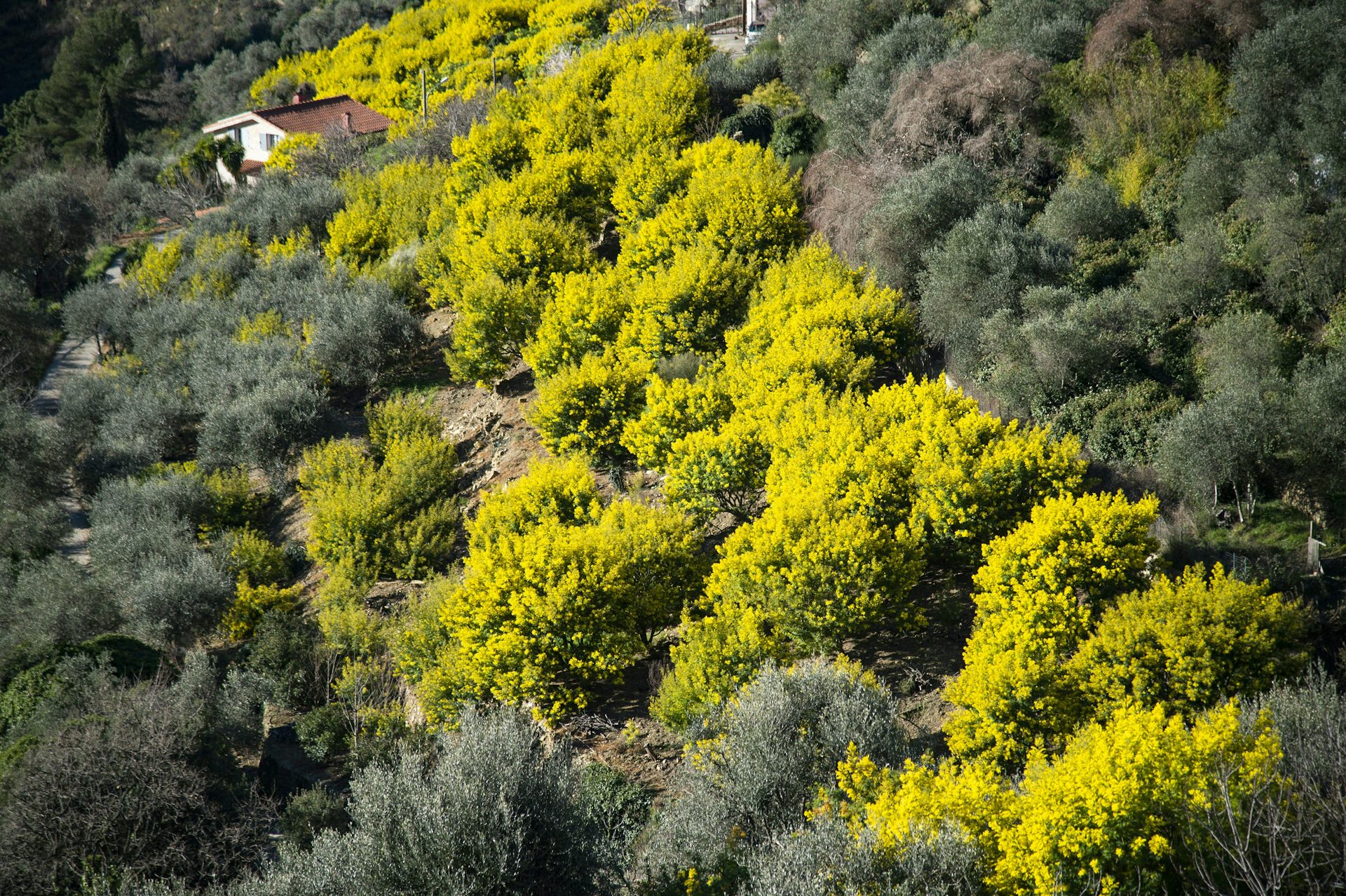 file 20260305 57 aj5a0e.jpg?ixlib=rb 4.1