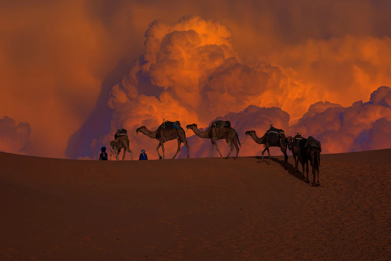 Camels, sand dunes, dust clouds