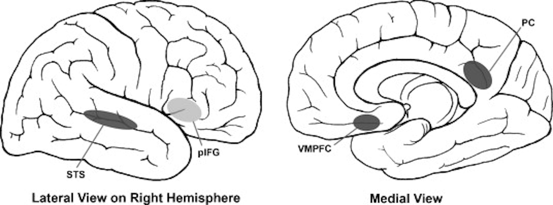 file 20260307 57 916tm6.jpg?ixlib=rb 4.1
