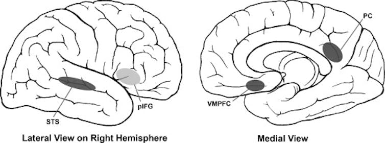 Why is it that after anyone yawns, their yawn infects us? 4 file 20260307 57 916tm6.jpg?ixlib=rb 4.1